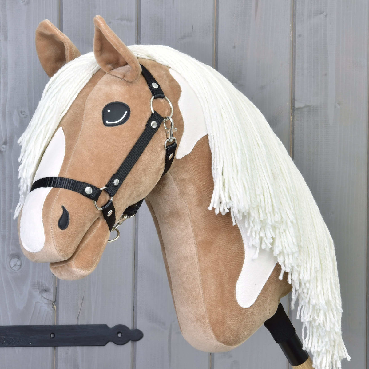 Hobby Horse Fury in a three-quarter view, the white blaze running down to the muzzle beneath the black halter