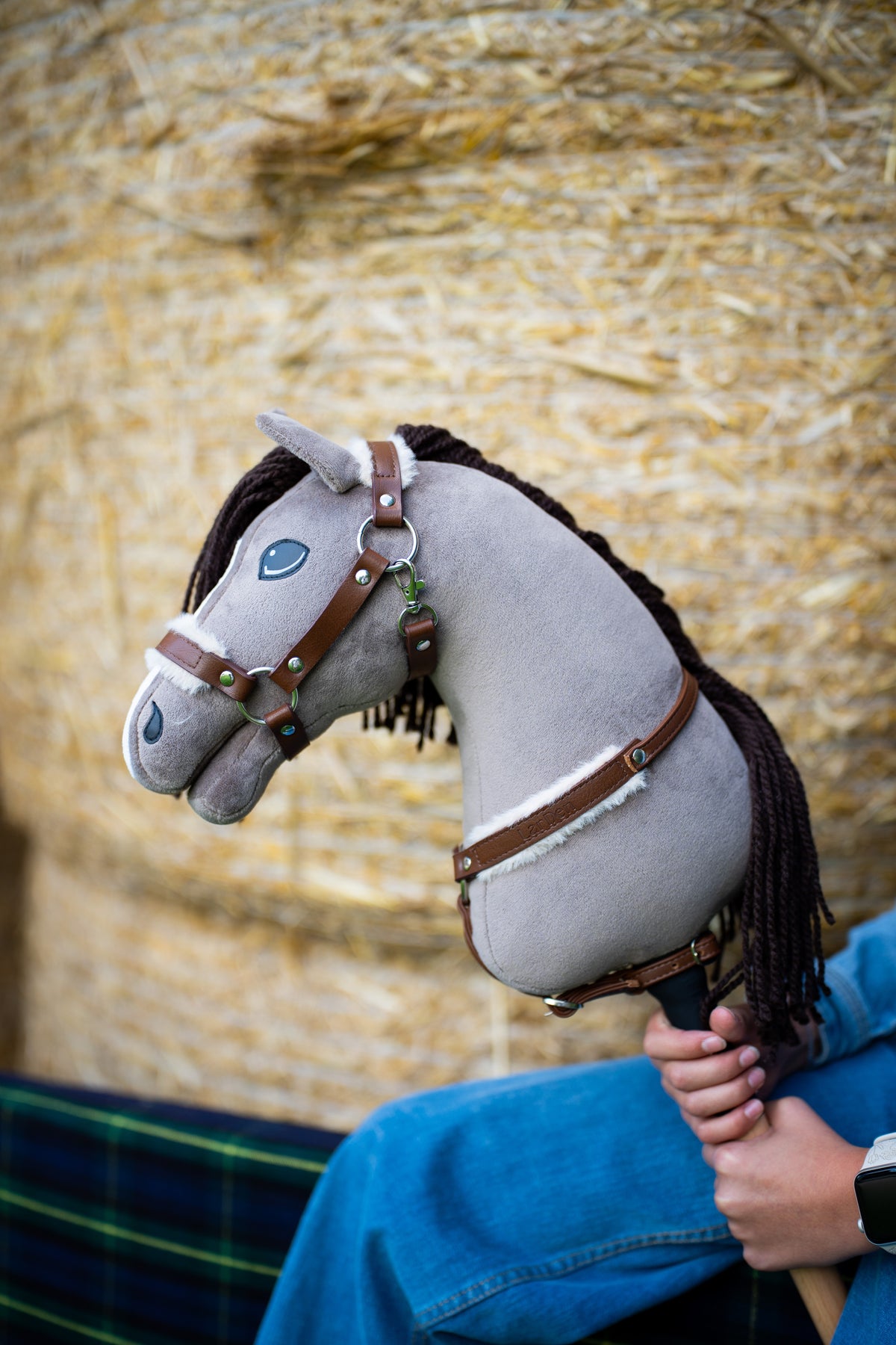 Close-up of Hobby Horse Guccini in a brown halter and breastgirth with fleece edging in front of a straw bale