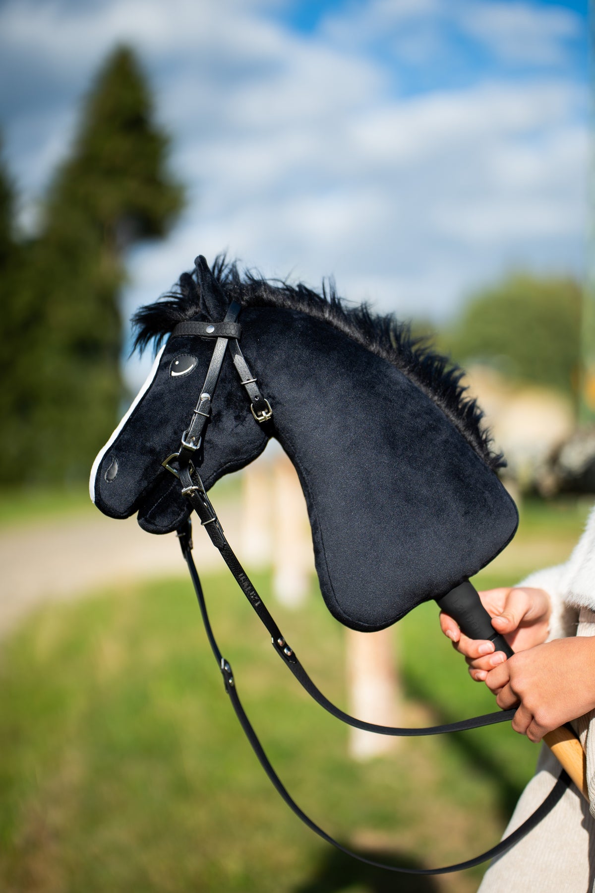 Hobby Horse Loki with a shaggy black mane in a black leatherette bridle and long reins, blue sky and a fir tree behind