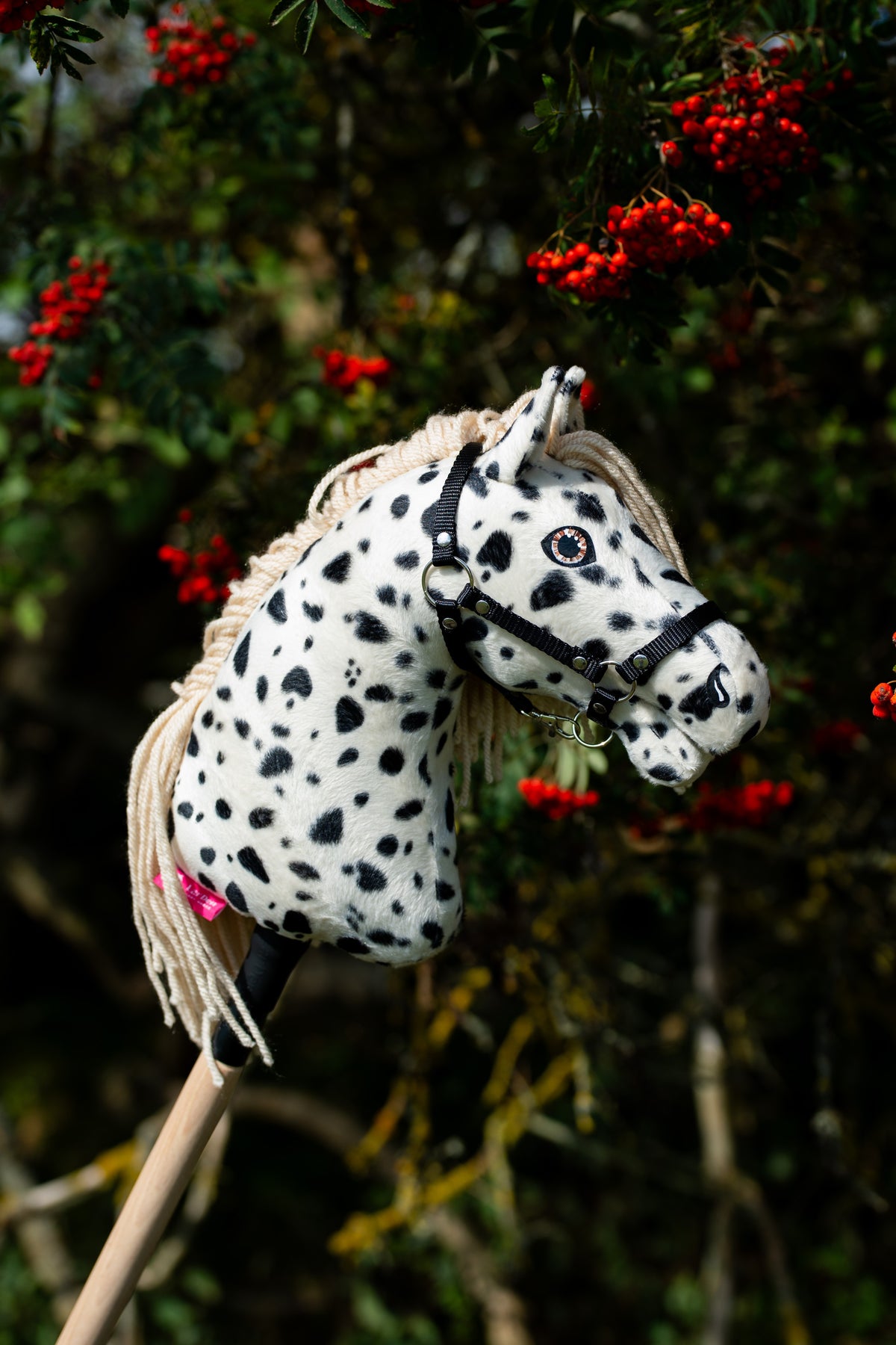 Hobby Horse Lord Valentine utomhus från sidan framför en rönn full av röda bär