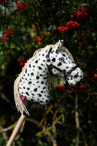 Hobby Horse Lord Valentine utomhus från sidan framför en rönn full av röda bär
