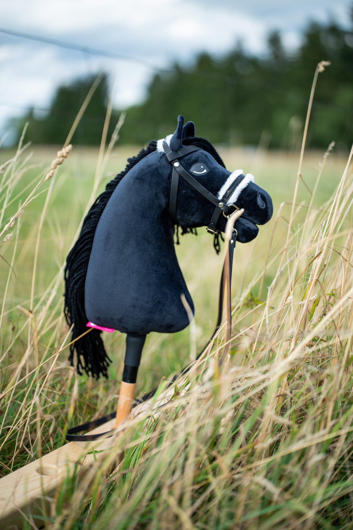Hobby Horse Mahal med svart grimma i högt ängsgräs, här i svart träns med nosgrimma av vit päls