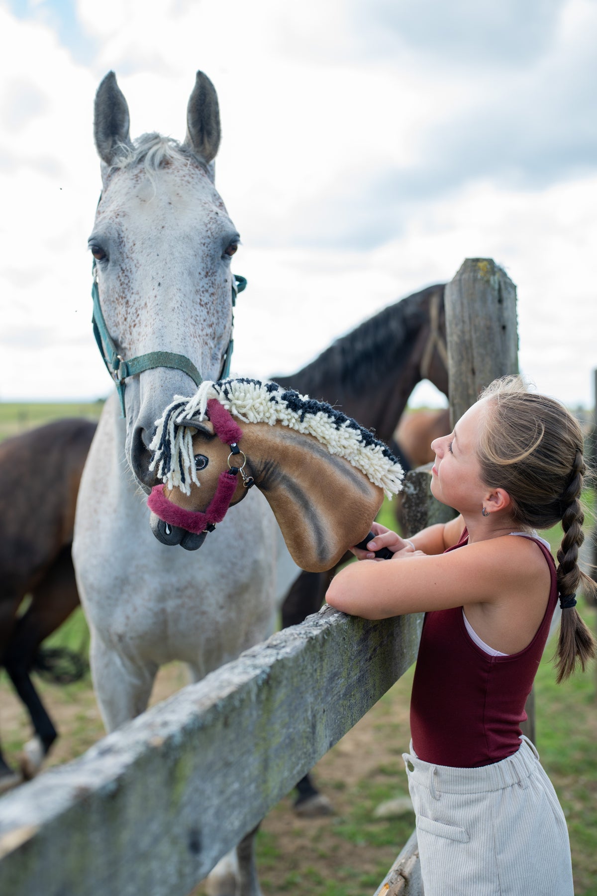Girl in a maroon top at a paddock fence holding Hobby Horse Ozzy up to a grey horse, with brown horses behind