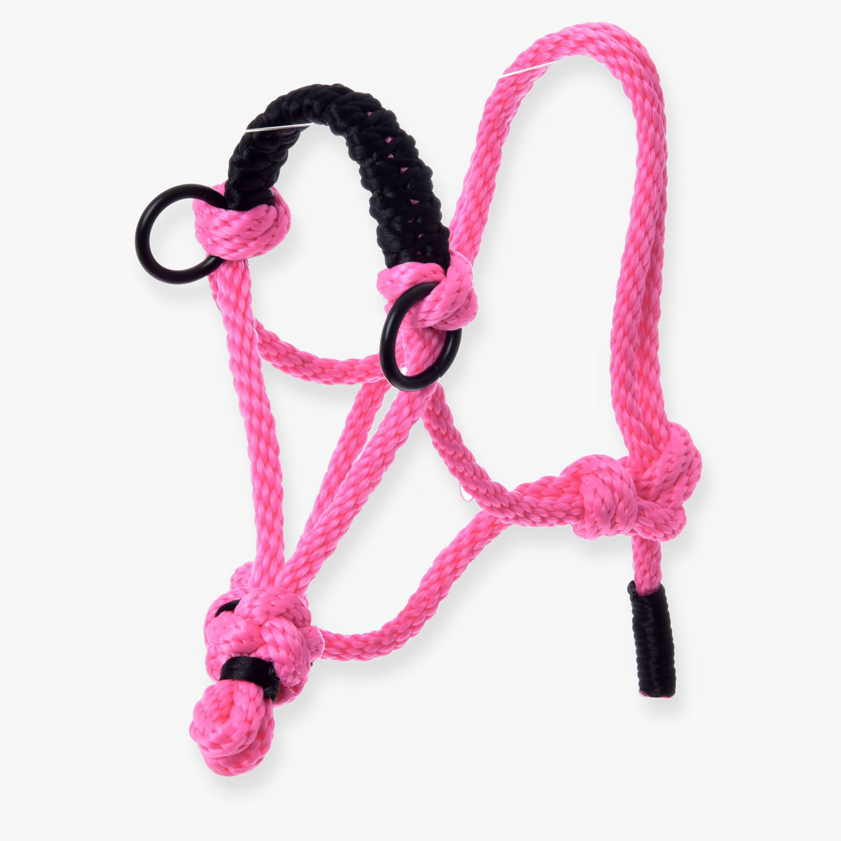 Hobby Horse Rope halter Pink by LarDen in bright pink rope with a black braided noseband and black rings