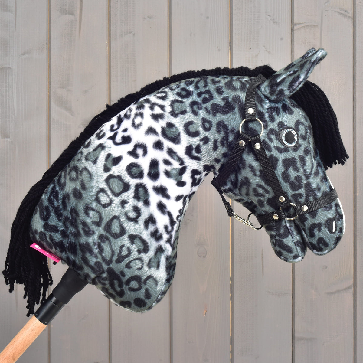 Hobby Horse Picasso with Black Halter facing right, pale leopard spots on the throat and the black mane behind