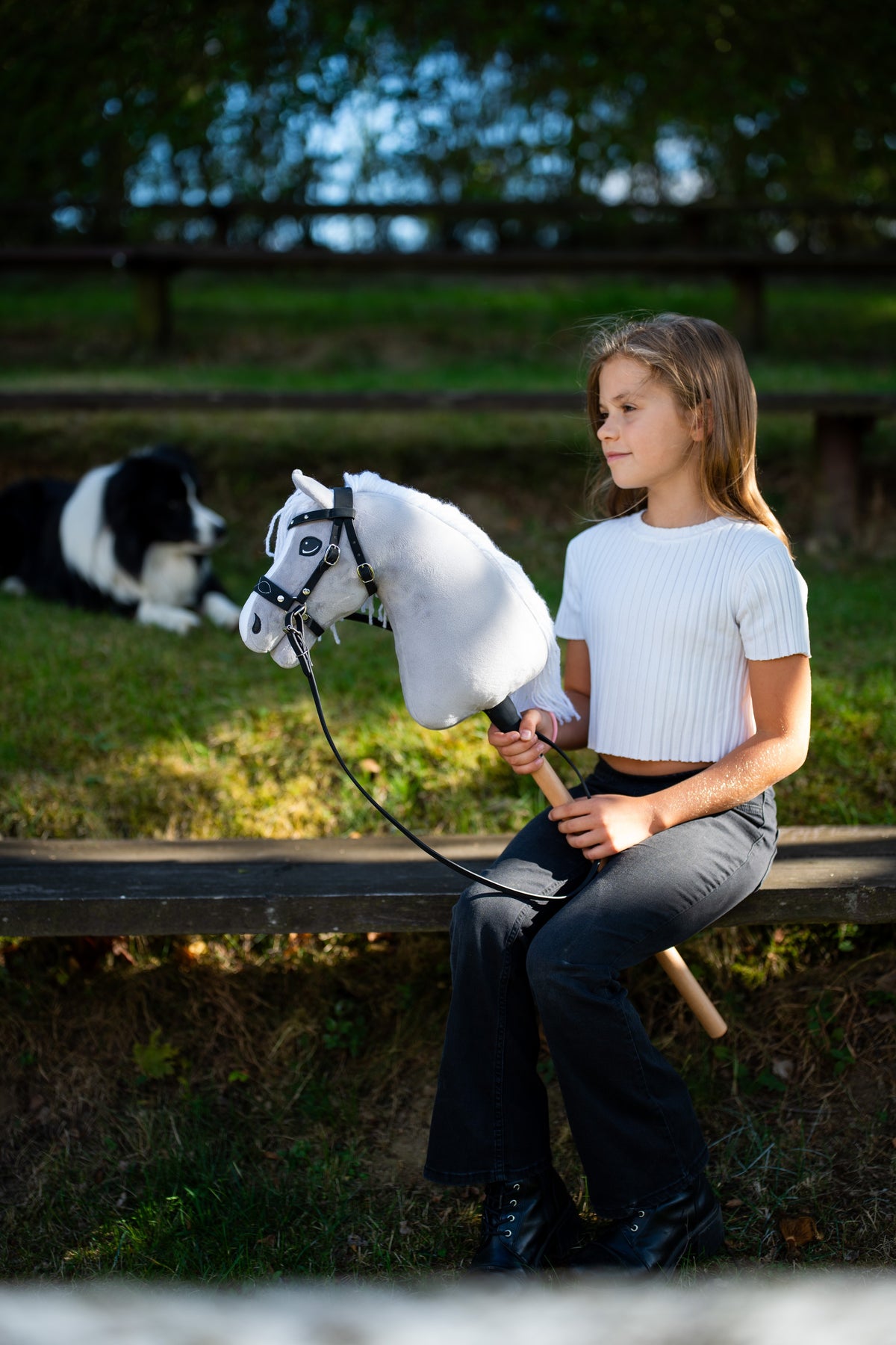 Flicka i vit topp som sitter på en bänk med den ljusgrå käpphästen i ett svart träns, en border collie bakom