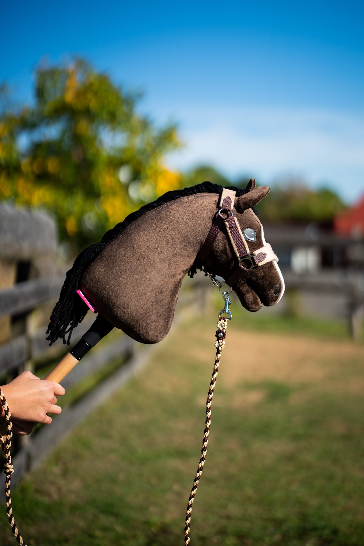 Hobby Horse Sisi i en solig hage med brun grimma med ljus nosrem och flätat grimskaft