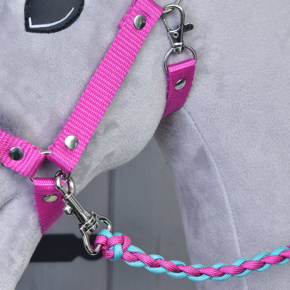 Detail of the pink webbing halter with silver rivets and snap hook, a braided pink and turquoise rope attached