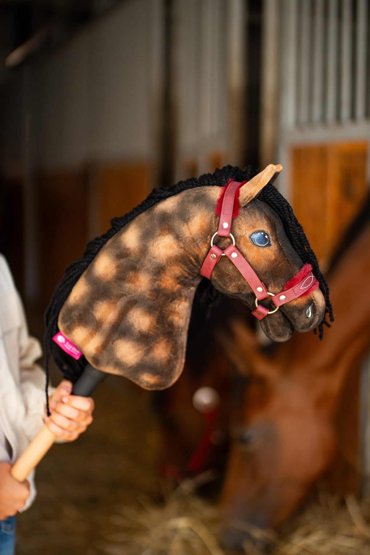 Close-up of dappled brown Hobby Horse Stormy with blue eyes and a curly black mane in the burgundy halter with fur