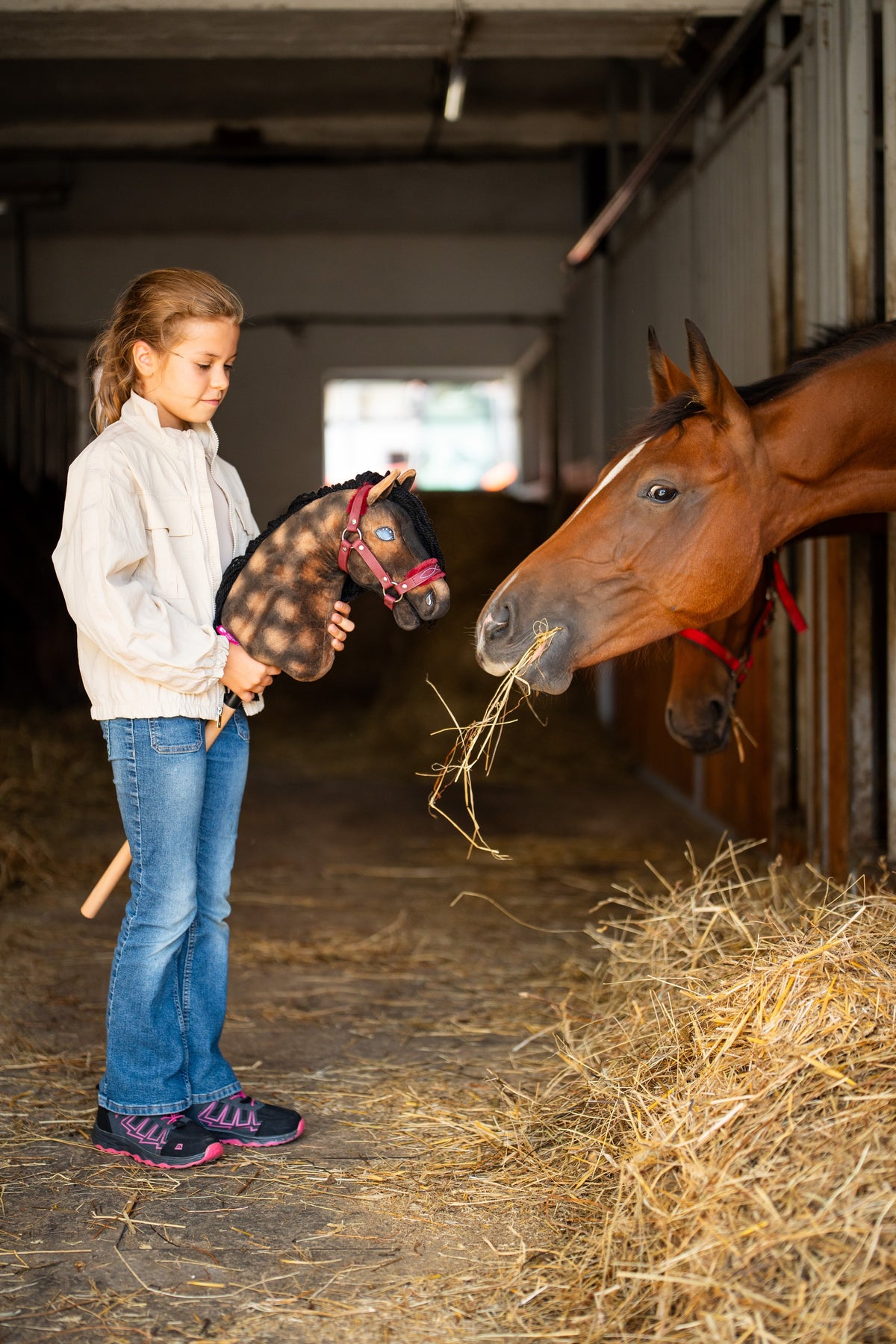 Girl in a stable holding a dappled brown Hobby Horse in a burgundy fur halter next to a bay horse eating hay