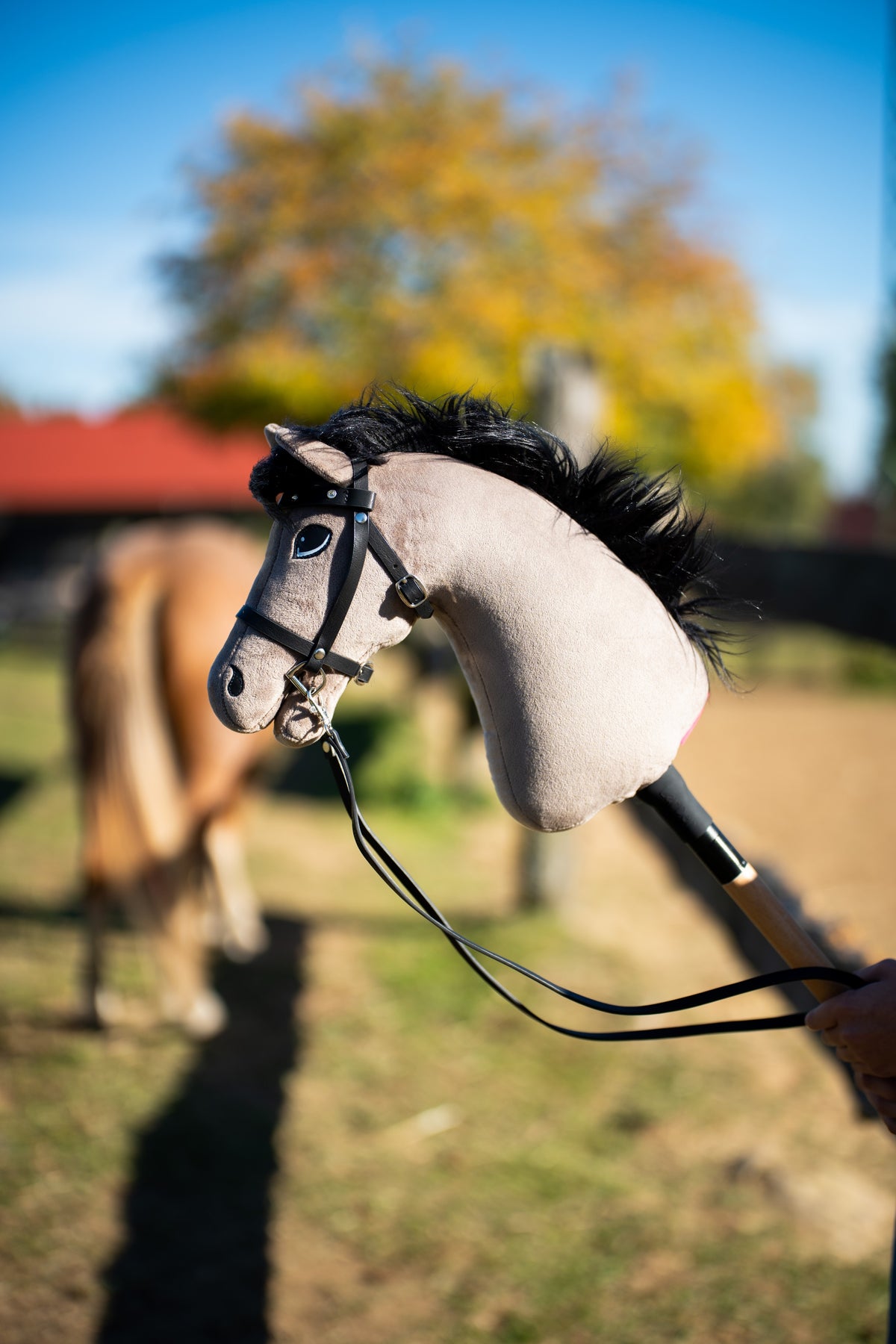 Närbild av Hobby Horse Thor i svart träns med tyglar i en hage, en ponny och ett höstträd suddiga bakom