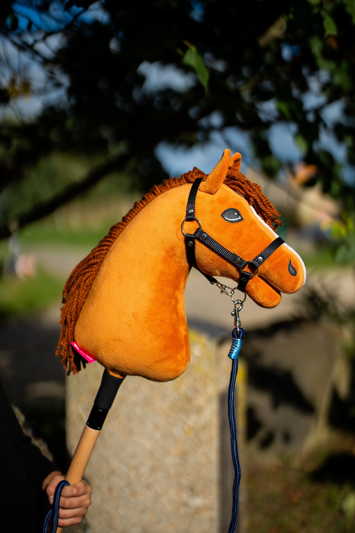 Hobby Horse Wendy i sin svarta grimma med ett marinblått grimskaft fäst, upphållen av ett barn bredvid ett solbelyst stenblock