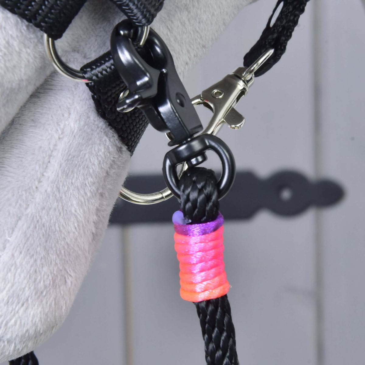 Close-up of a black snap hook clipped to the halter ring, with a pink and orange thread wrap on the black rope