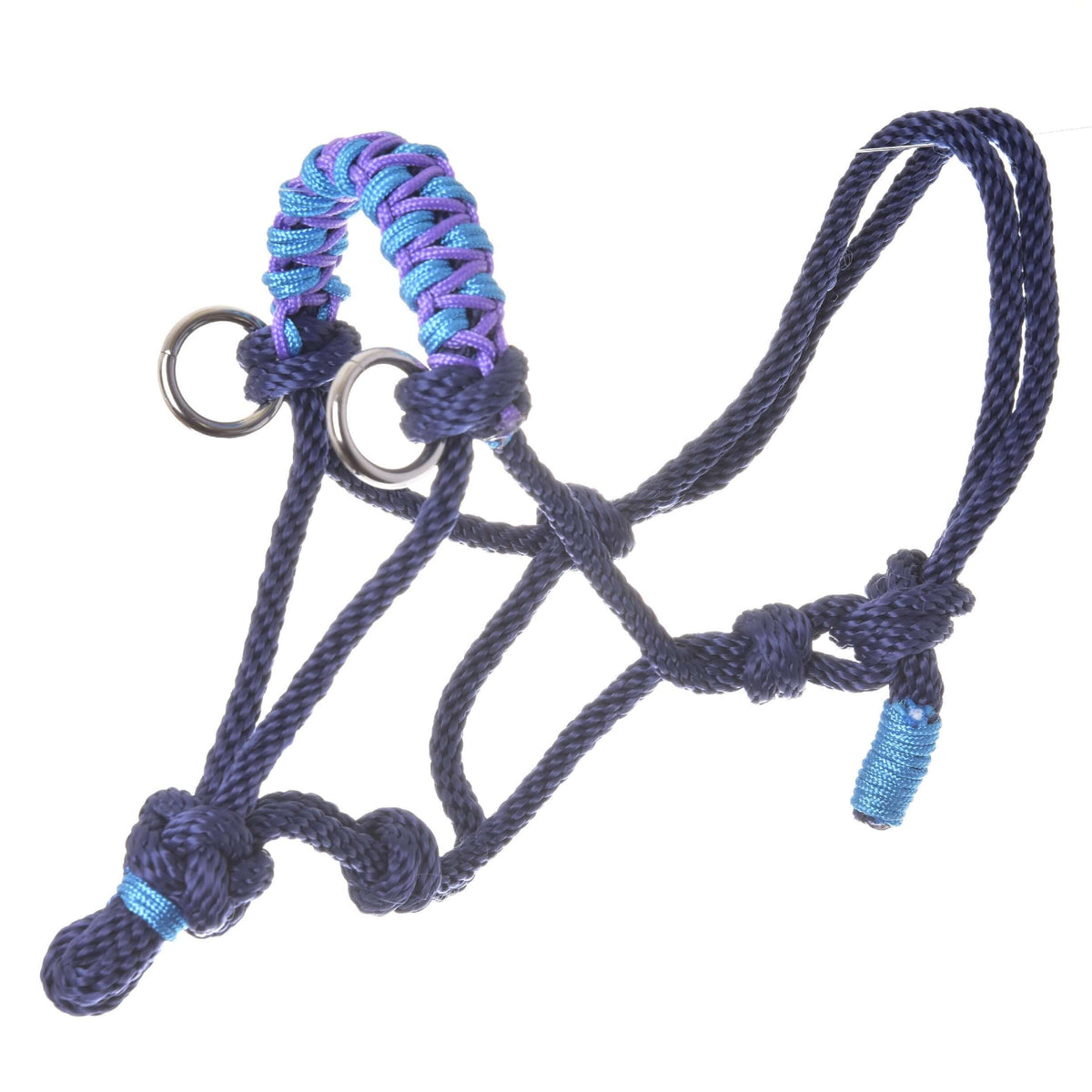 Navy rope halter with a turquoise and purple braided noseband and silver rings from the Hobby Horse Rope set Dark Blue
