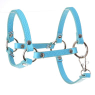 LarDen Hobby Horse halter in turquoise leatherette with silver rings, rivets and a snap hook, on a white background