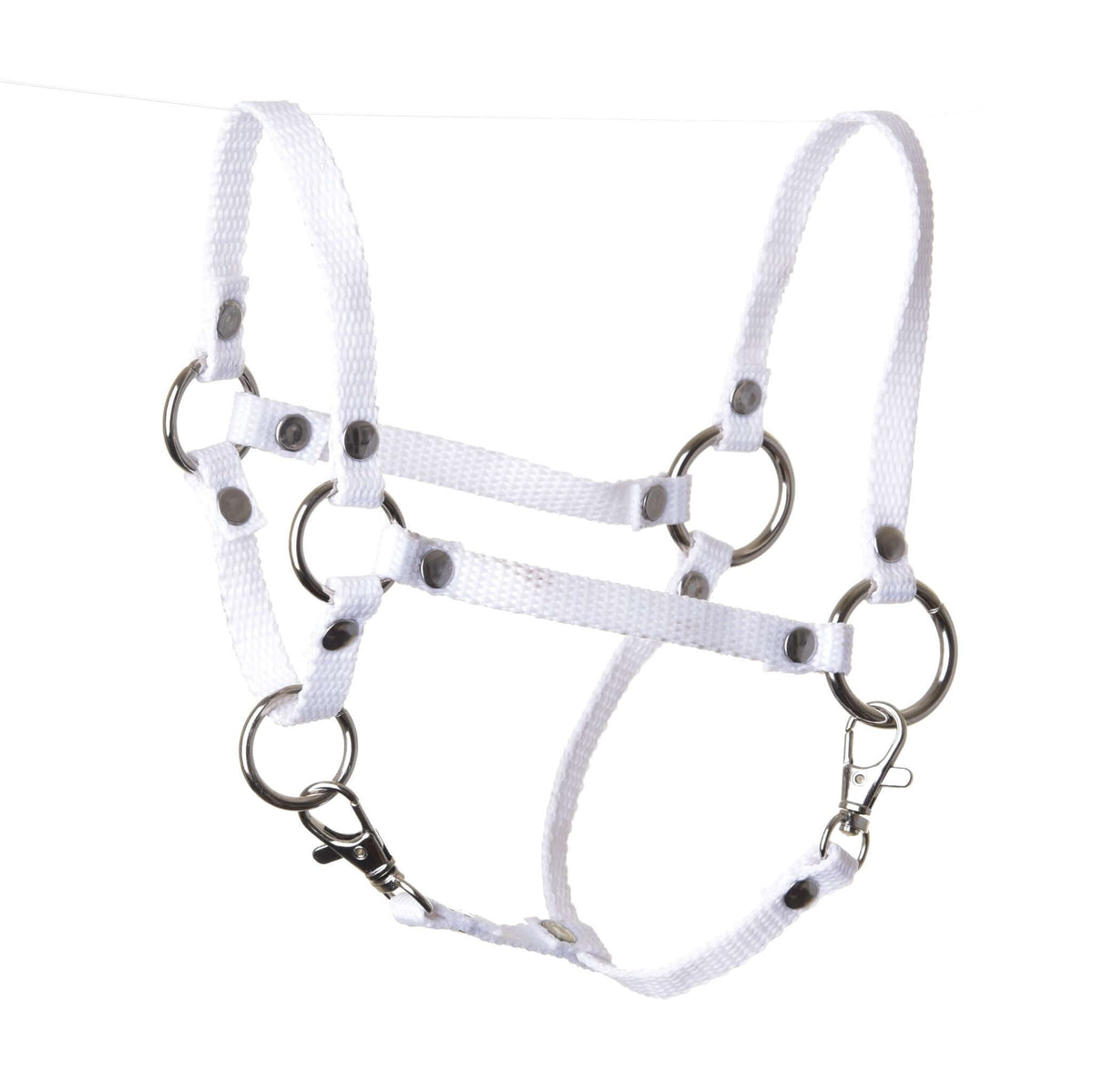 LarDen Hobby Horse Halter white in white webbing with silver rings, rivets and two snap hooks