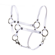 LarDen Hobby Horse Halter white in white webbing with silver rings, rivets and two snap hooks