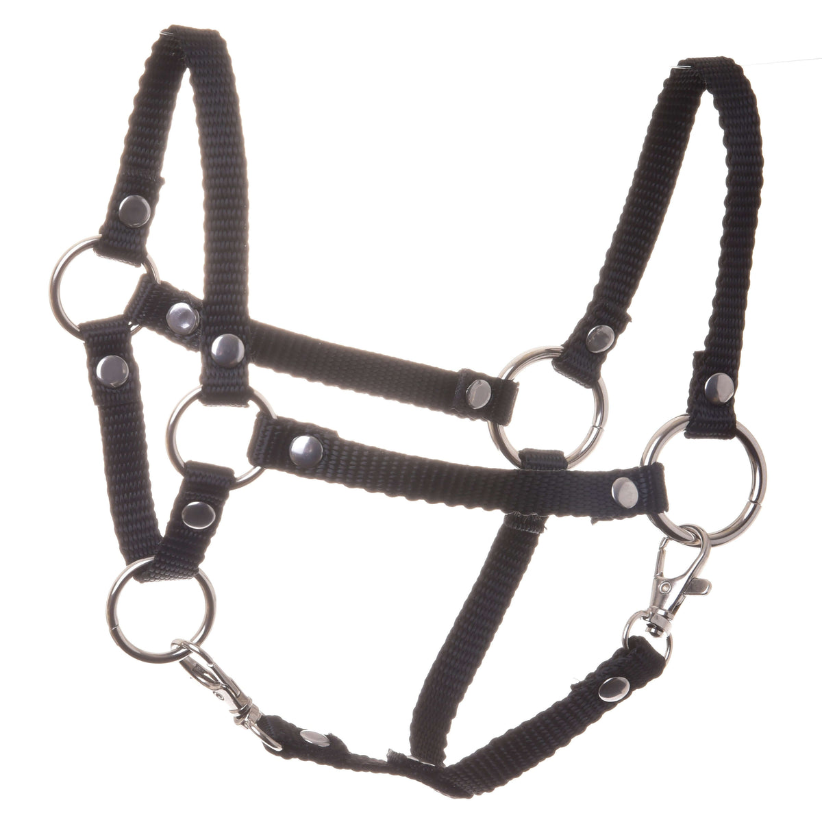 Hobby Horse Halter black by LarDen in black webbing with silver rings, rivets and two snap hooks
