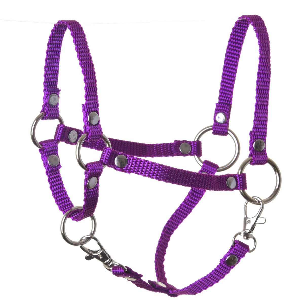 LarDen Hobby Horse Halter purple, a purple webbing halter with silver rings, rivets and two snap hooks