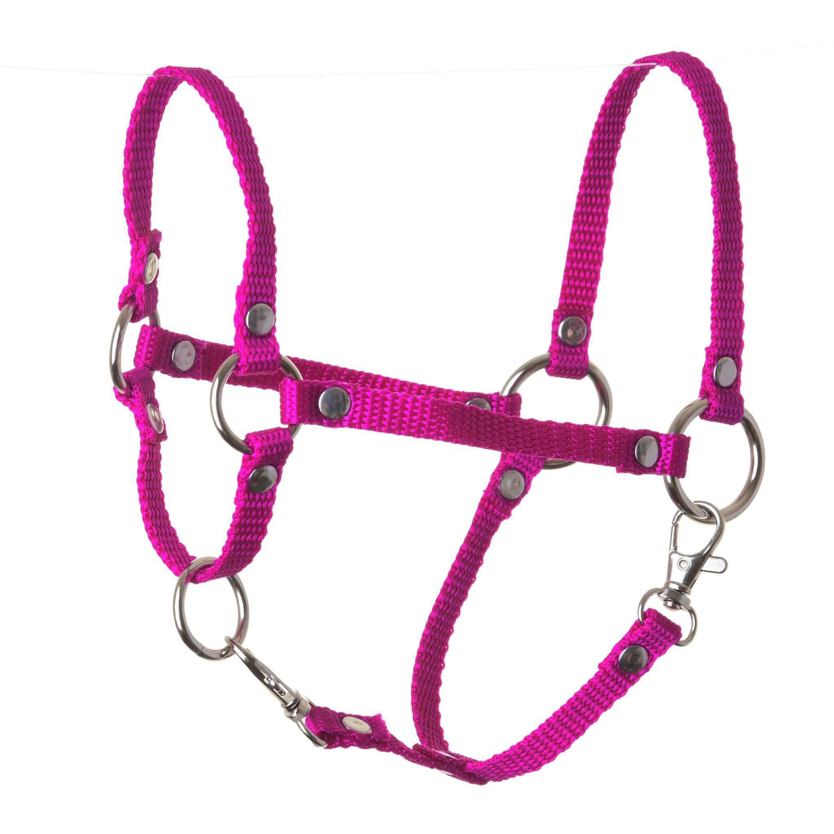 LarDen Hobby Horse Halter rose in bright pink webbing with silver rings, rivets and two snap hooks